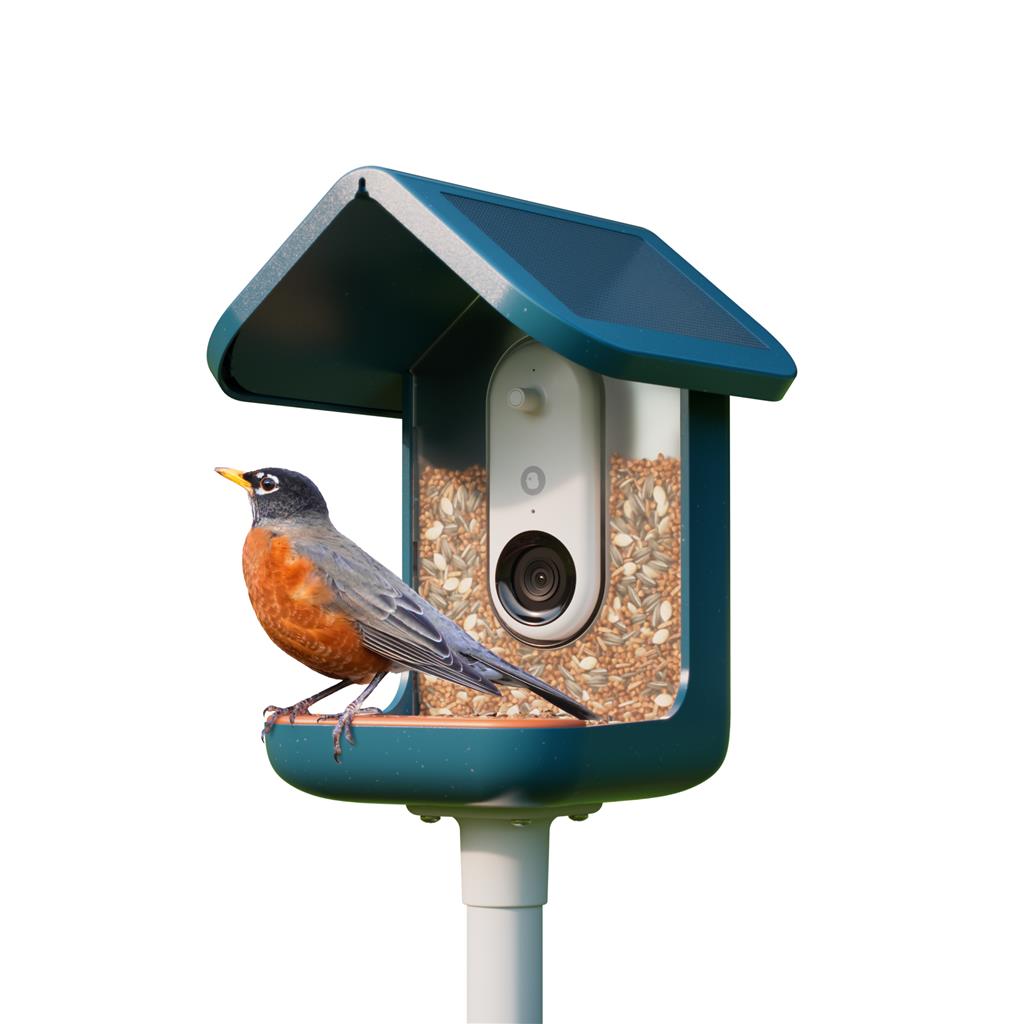 BIRDBUDDY WITH SOLAR ROOF - BLUE 2.0