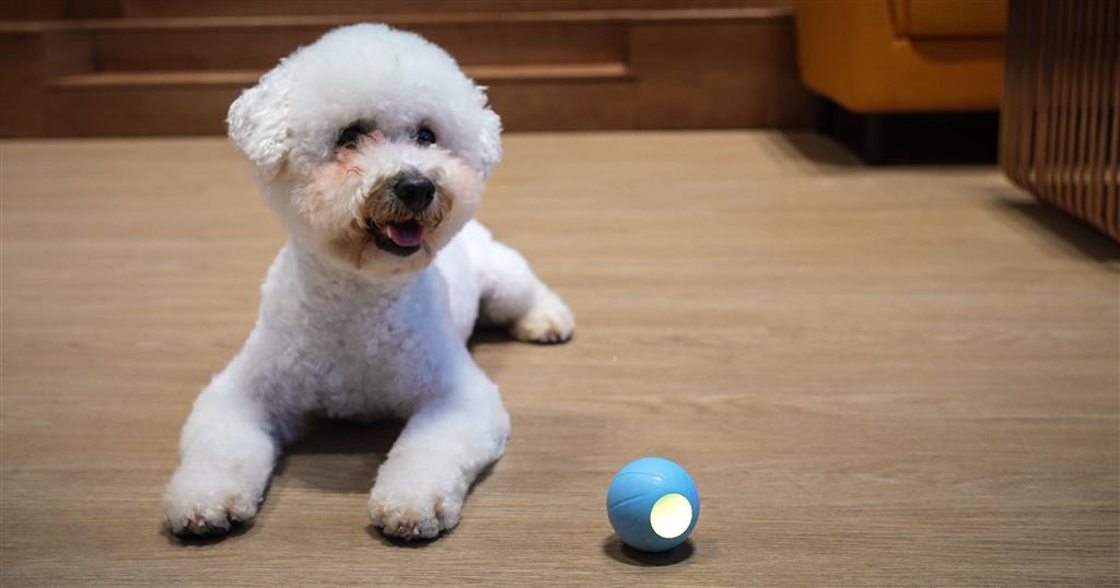 CHEERBLE WICKED BALL SE BLUE FÜR KLEINE HUNDE