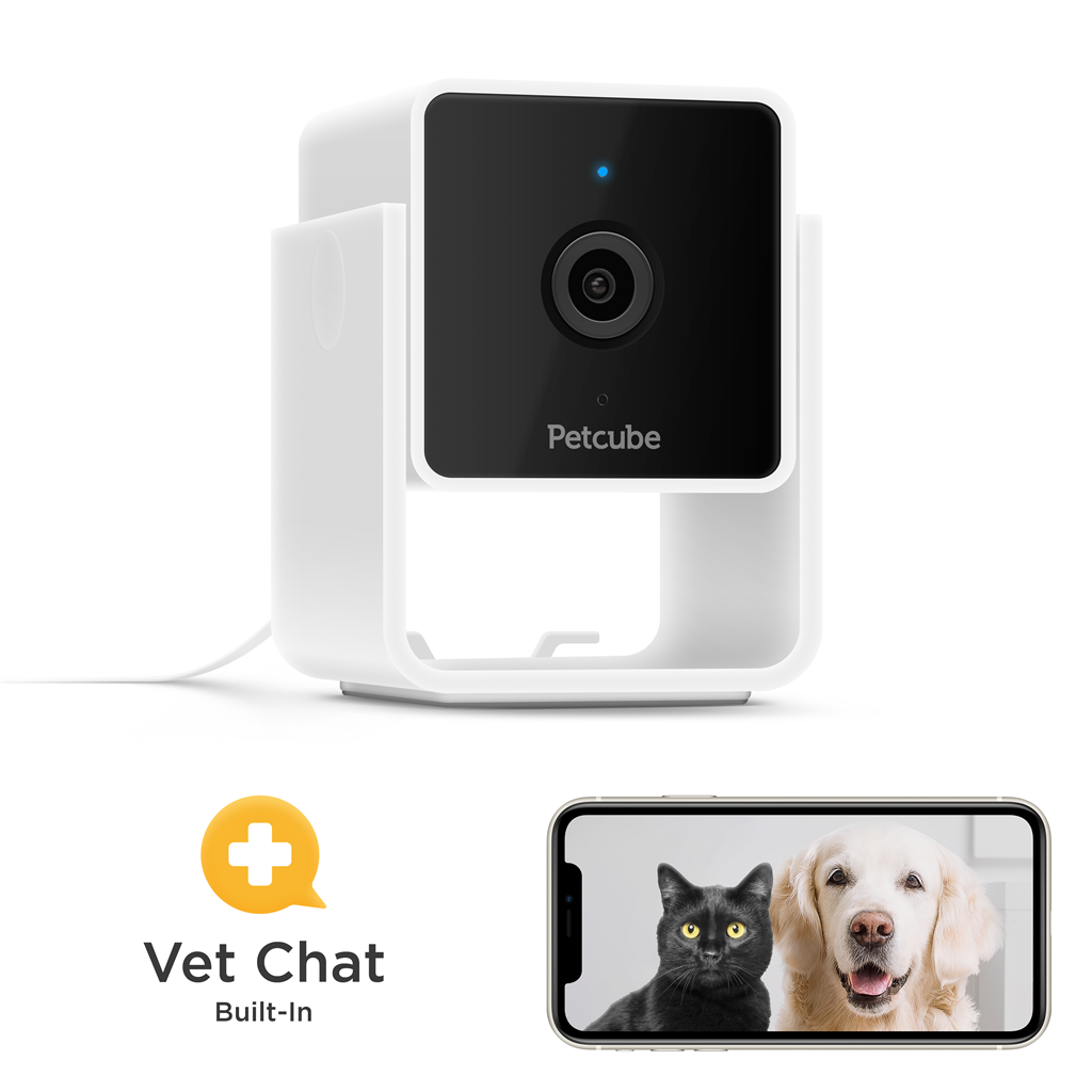 PETCUBE PET CAM
