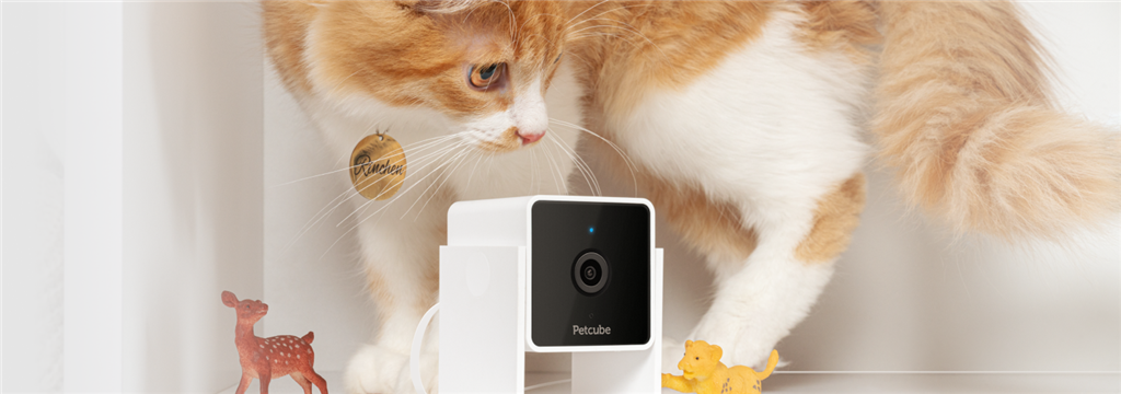 PETCUBE PET CAM