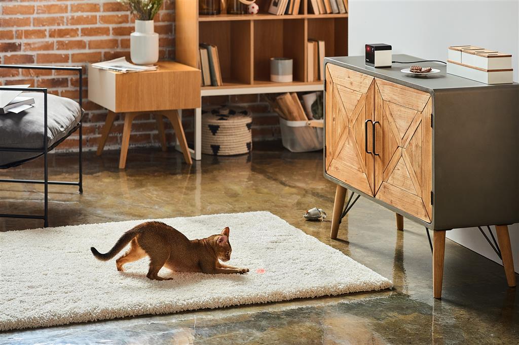PETCUBE PLAY 2