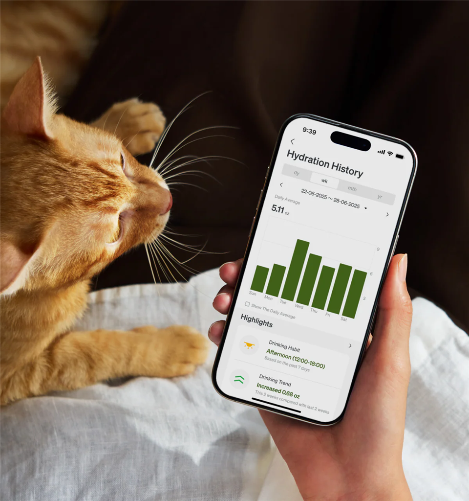 PETLIBRO DOCKSTREAM APP MONITORING WATER FOUNTAIN(WITH EXTRA WATER PUMP)- WHITE