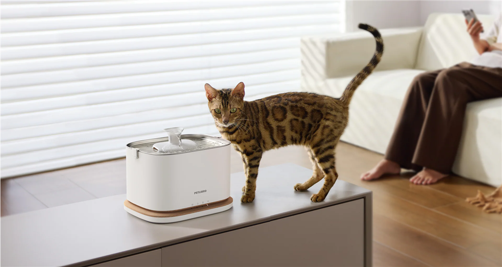 PETLIBRO DOCKSTREAM APP MONITORING WATER FOUNTAIN(WITH EXTRA WATER PUMP)- WHITE