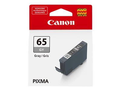 Canon Ink grey