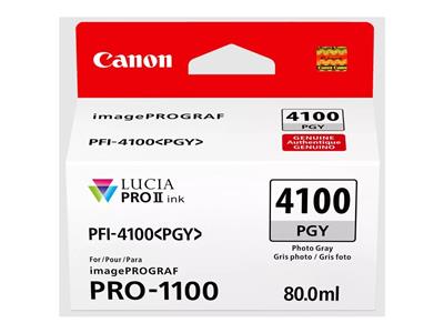 Canon Ink photo grey