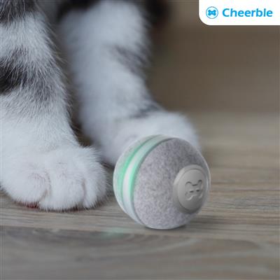 CHEERBLE BALL M1 GRAY