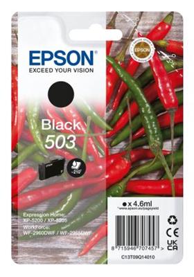 Epson Singlepack Ink Nr.503 black T09Q14