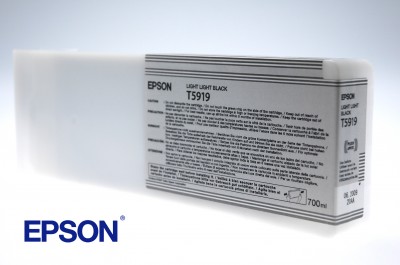 Epson Ink light light black T5919
