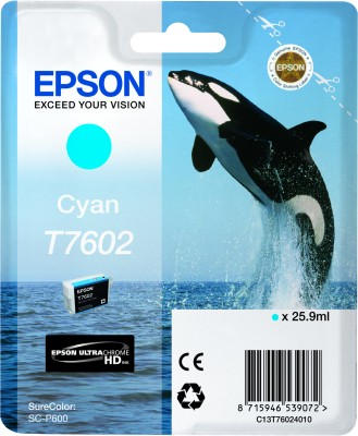 Epson Ink cyan T7602