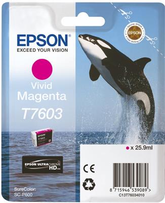 Epson Ink vivid mag. T76034N