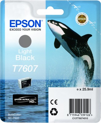 Epson Ink light black T7607