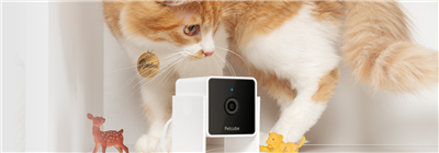PETCUBE PET CAM
