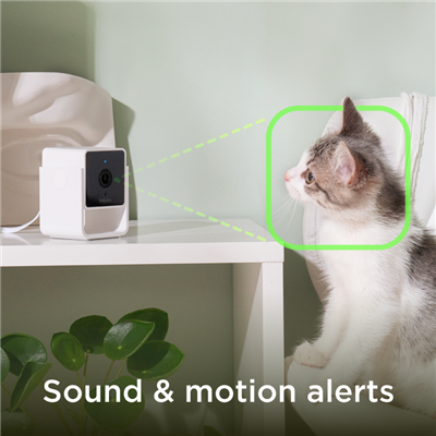 PETCUBE PET CAM