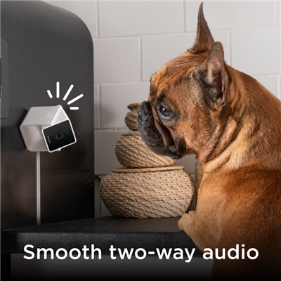 PETCUBE PET CAM
