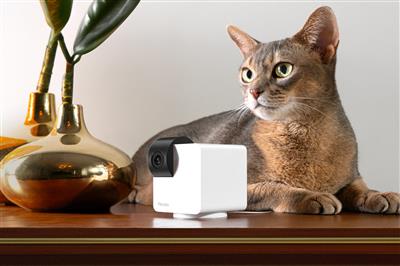 PETCUBE CAM 360 CAMERA