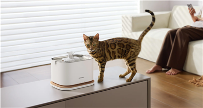 PETLIBRO DOCKSTREAM APP MONITORING WATER FOUNTAIN(WITH EXTRA WATER PUMP)- WHITE
