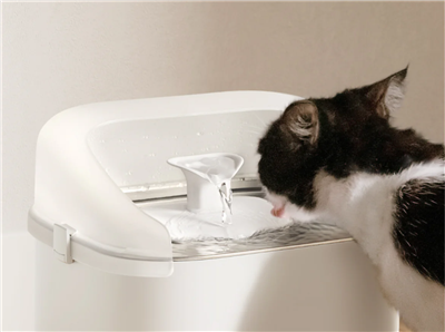 PETLIBRO DOCKSTREAM APP MONITORING WATER FOUNTAIN(WITH EXTRA WATER PUMP)- WHITE
