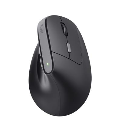 Trust TM-270 ERGONOMIC Wireless Mouse B2B
