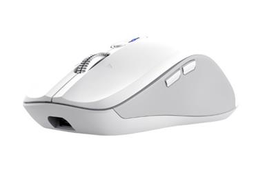 Trust FERRO Multi Wireless Recharg Mouse white