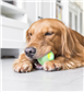 CHEERBLE WICKED BALL PE GREEN FÜR MITTELGROßE HUNDE