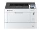 Kyocera Ecosys Laserdrucker inkl. 3 Jahre Vor-Ort Garantie