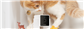 PETCUBE PET CAM
