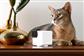 PETCUBE CAM 360 CAMERA