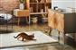 PETCUBE PLAY 2