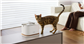 PETLIBRO DOCKSTREAM APP MONITORING WATER FOUNTAIN(WITH EXTRA WATER PUMP)- WHITE