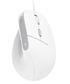 Trust BAYO II Ergonomic Mouse white