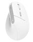 Trust BAYO II Ergonomic Wireless Mouse white